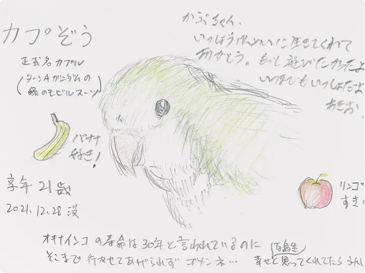 ありがとうアルバム