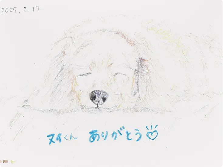 ありがとうアルバム