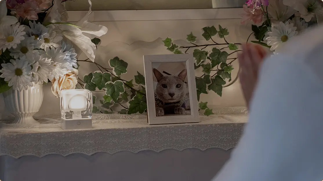 立会火葬プラン